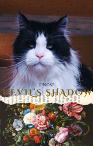 Maine Coon rare yeux vairons