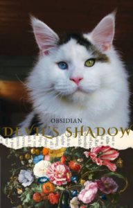 Maine Coon rare aux yeux vairons brown