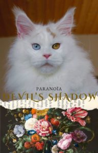 Maine Coon rare aux yeux vairons