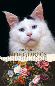 Maine Coon aux yeux bleus rare