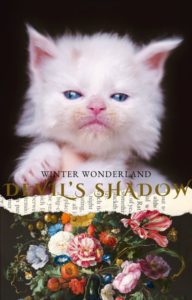 Chaton Maine Coon loof disponible aux yeux bleus