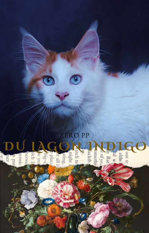 Chaton Maine Coon roux en Dordogne