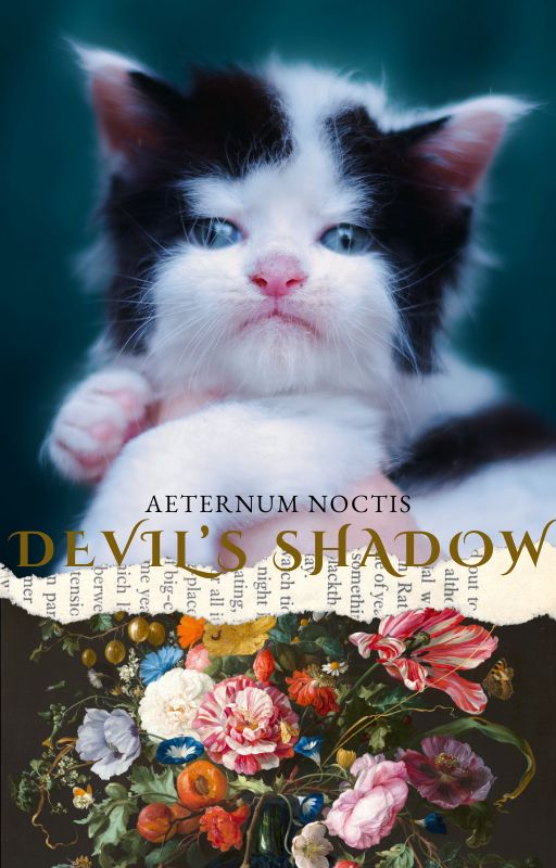 Chaton Maine Coon fine art photographie Devil's Shadow