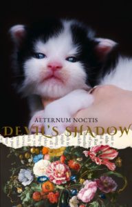 Maine Coon noir arlequin Devil's Shadow
