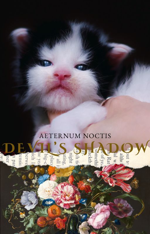 Chaton Maine Coon fine art photographie Devil's Shadow