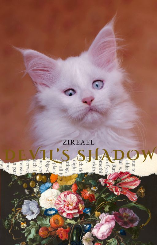 Chaton Maine Coon noir van yeux bleus en Dordogne