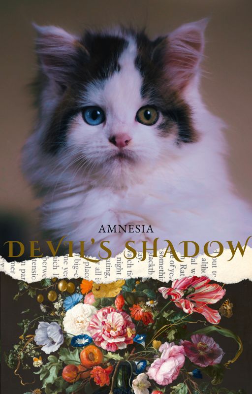 Chaton Maine Coon brown tabby van yeux vairons